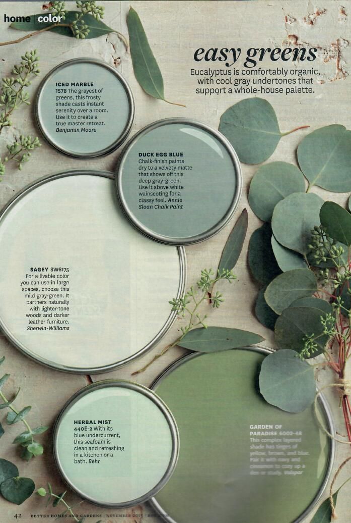 Styling with Eucalyptus - Making your Home Beautiful